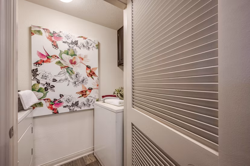 Modern laundry room with high-efficiency washers at Solana Ridge Apartments