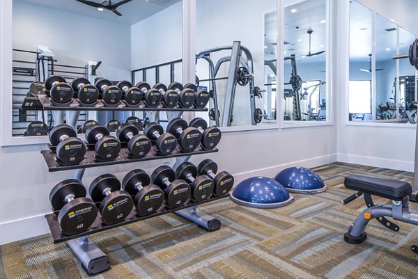 Modern fitness center with state-of-the-art equipment at Sorano Apartments