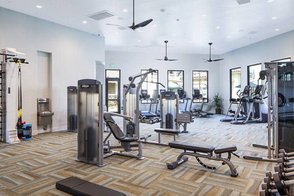 State-of-the-art fitness center with modern equipment at Sorano Apartments