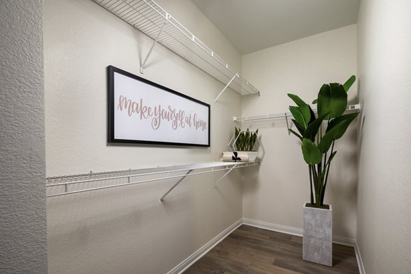 Tuscany Ridge Apartments: Walk-in closet with custom shelving and ample storage space