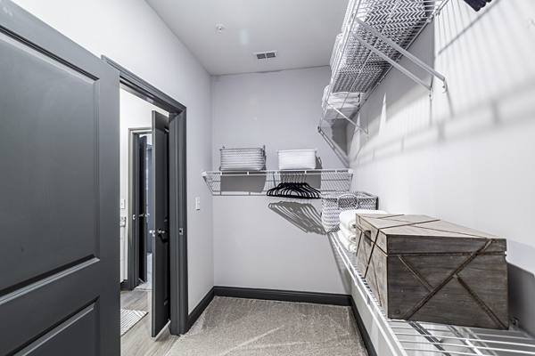 bathroom/bedroom close at The Louis Apartments