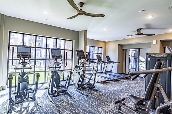 fitness center at The Louis Apartments