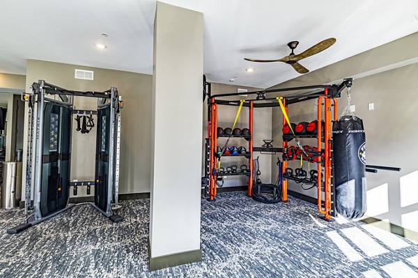 fitness center at The Louis Apartments