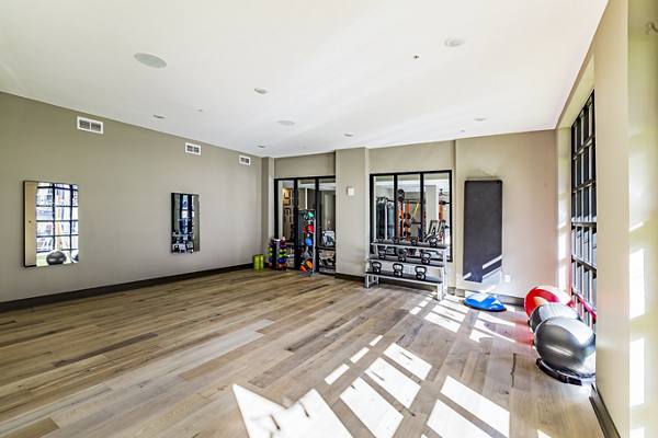fitness center at The Louis Apartments