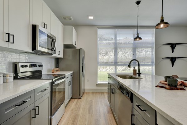 Modern kitchen with stainless steel appliances in Arbolada Apartments, luxury property