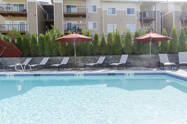 Resort-style pool area at Britton Place Apartments with lounge chairs and palm trees