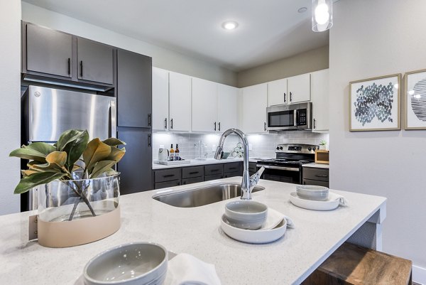 Kitchens featuring marble countertops and stainless steel appliances in Moderno Apartments