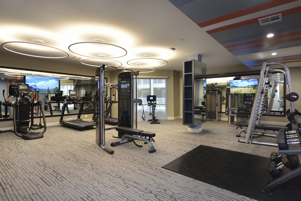 Gym at The Flats At West Alabama (2 of 2)