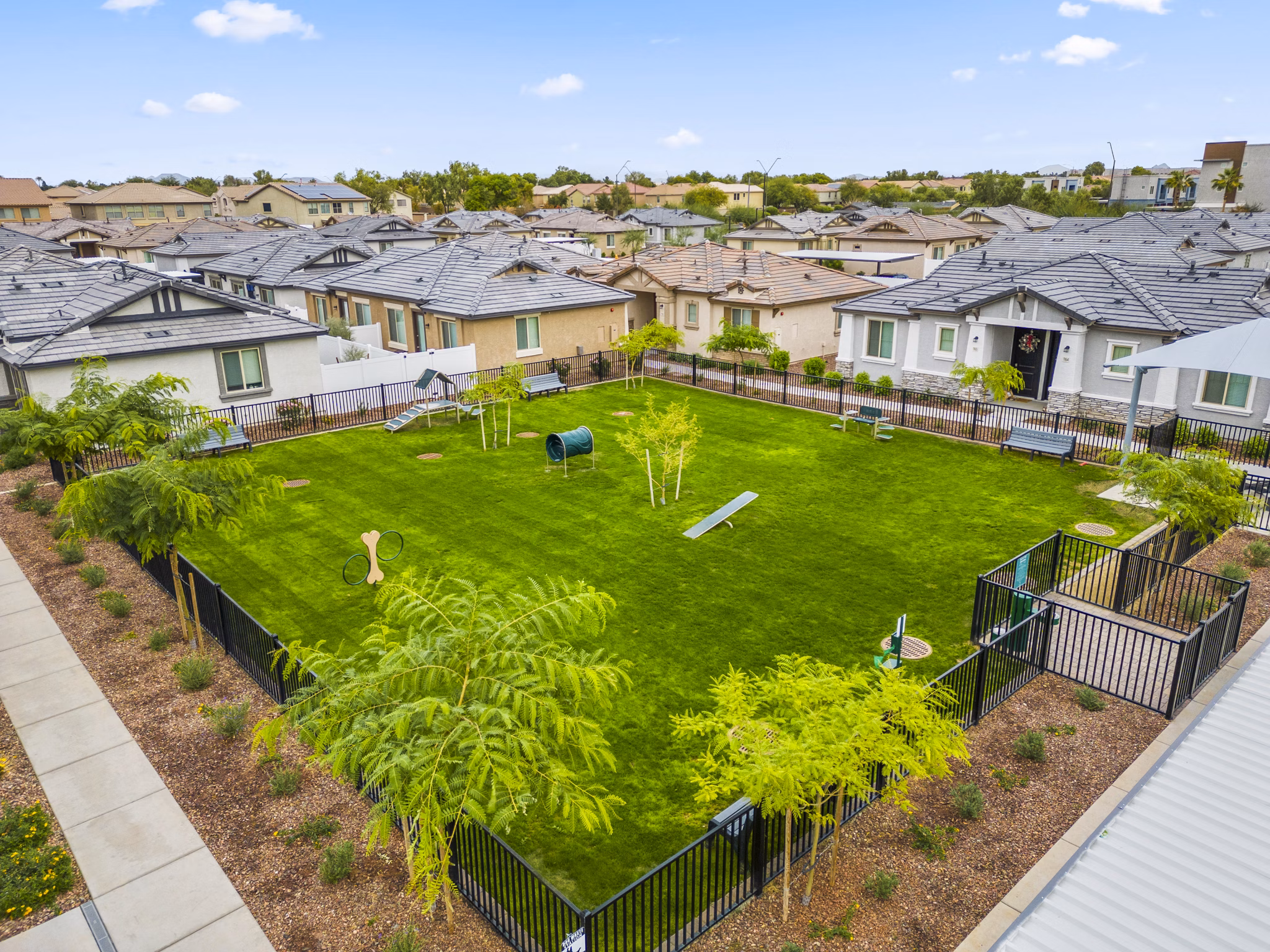 Dog park with agility equipment at Vlux at Peoria Heights Apartments offering amenities for pet owners