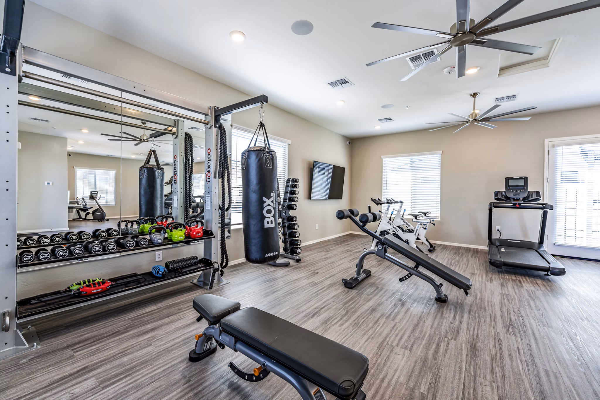 Fitness center with state-of-the-art equipment at Vlux at Queen Creek Apartments