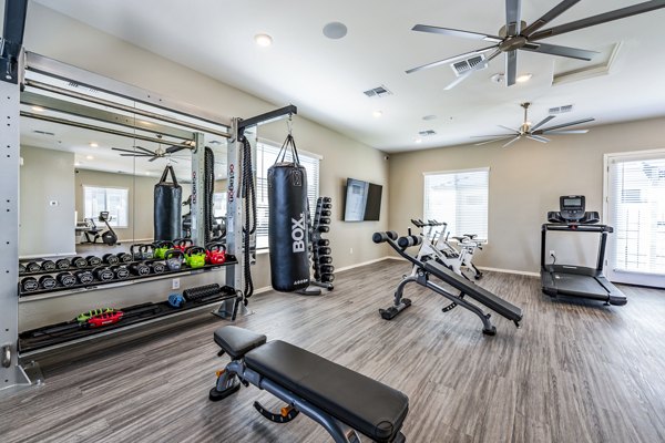 Fitness center with state-of-the-art equipment at Vlux at Queen Creek Apartments