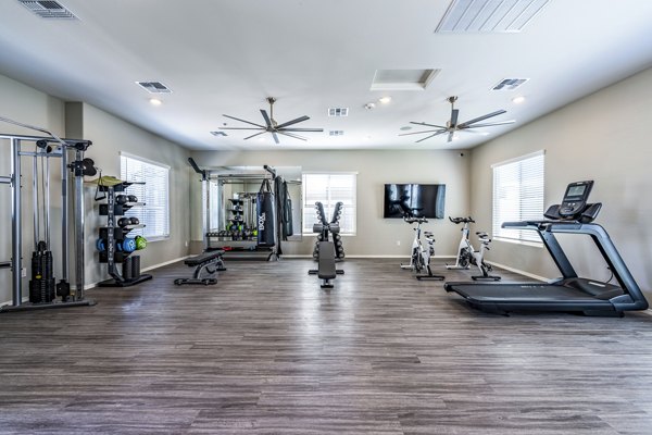 State-of-the-art fitness center with modern equipment at Vlux at Queen Creek Apartments