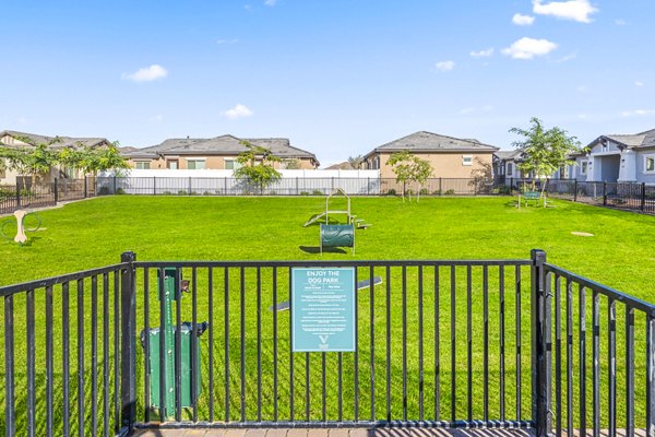 Expansive dog park with lush landscaping at Vlux at Queen Creek Apartments