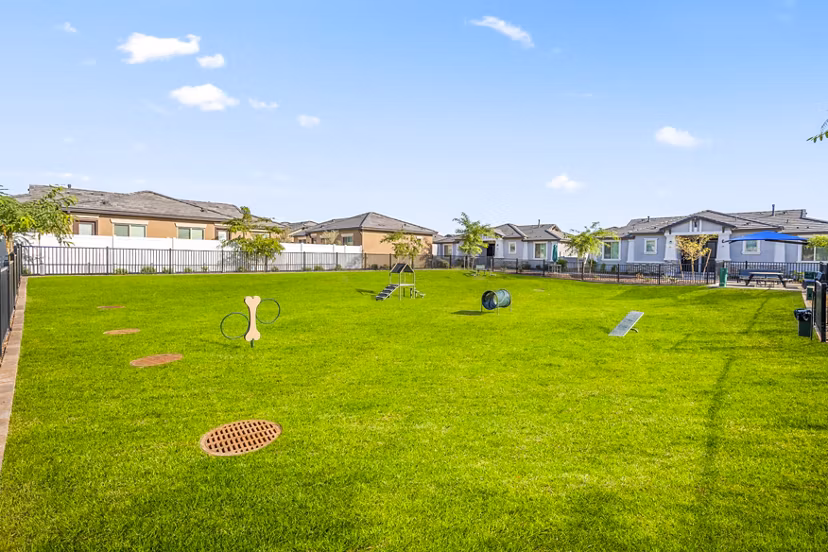 Dog-friendly park at Vlux at Queen Creek Apartments featuring agility equipment and lush greenery for pet exercise and play