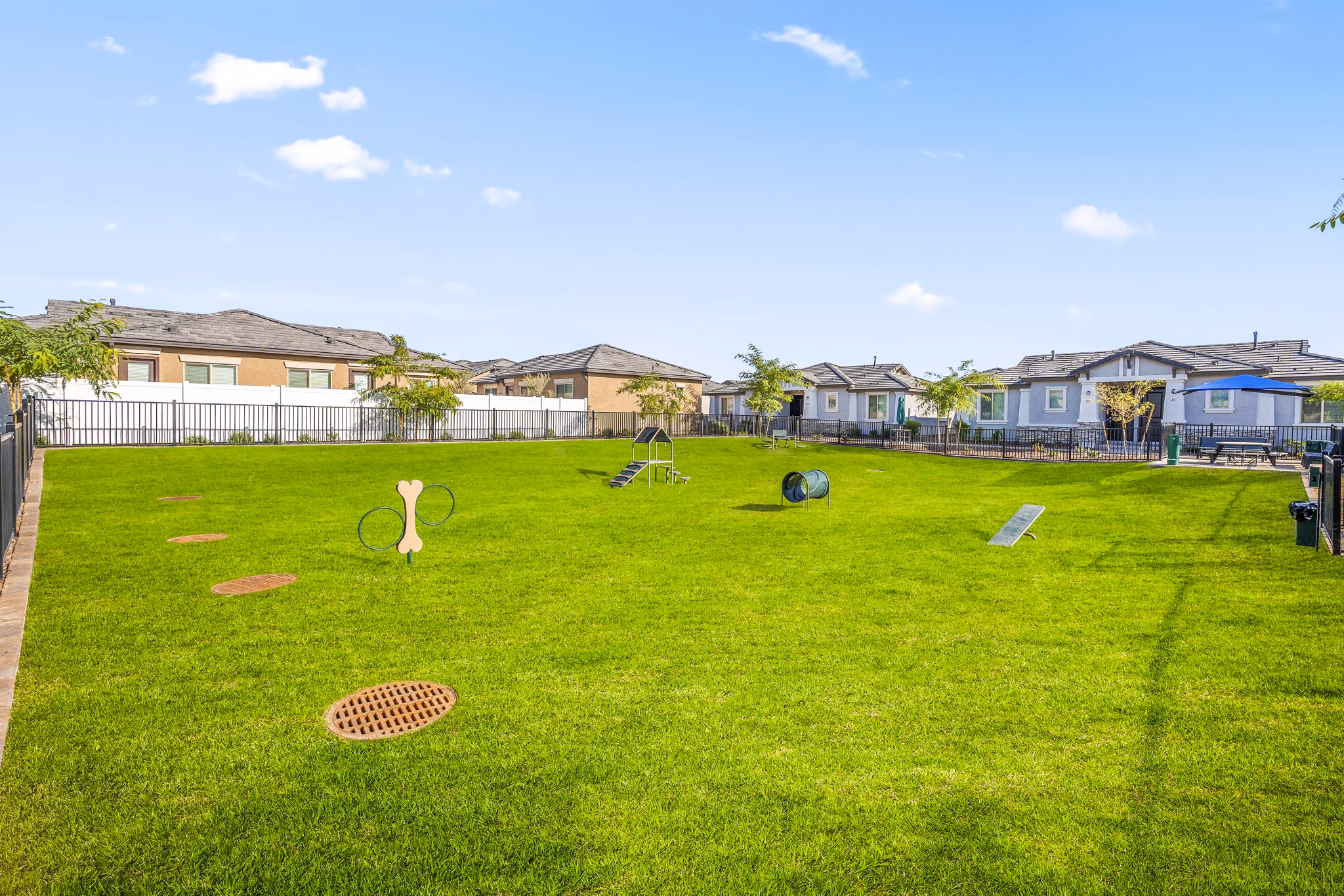 Dog-friendly park at Vlux at Queen Creek Apartments featuring agility equipment and lush greenery for pet exercise and play