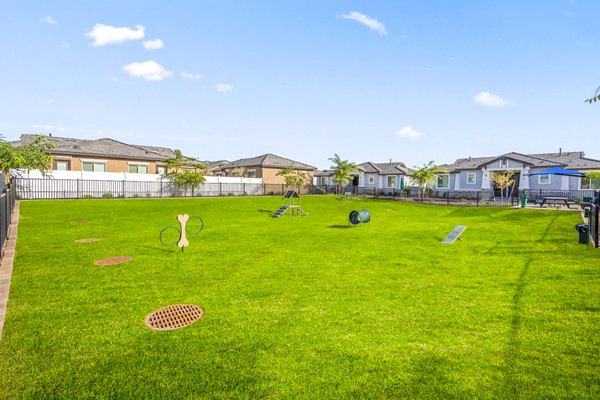 Dog-friendly park at Vlux at Queen Creek Apartments featuring agility equipment and lush greenery for pet exercise and play