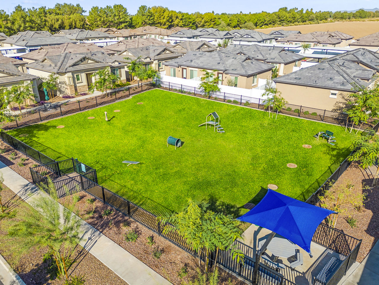Dog park at Vlux At Queen Creek (3 of 4)