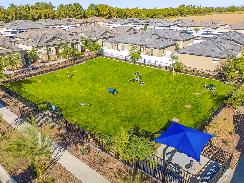 Pet-friendly dog park at Vlux at Queen Creek Apartments