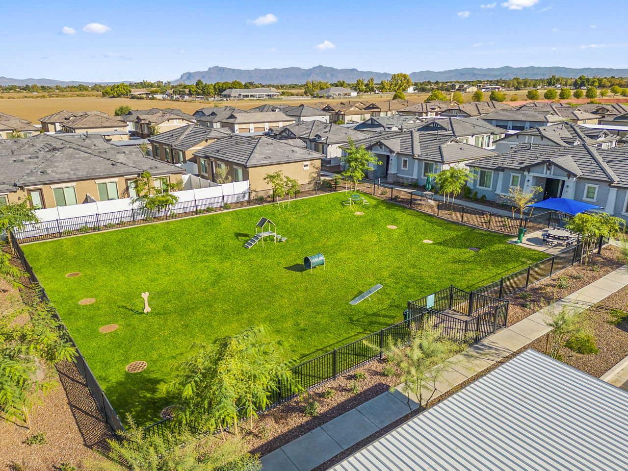 Dog park at Vlux At Queen Creek (4 of 4)