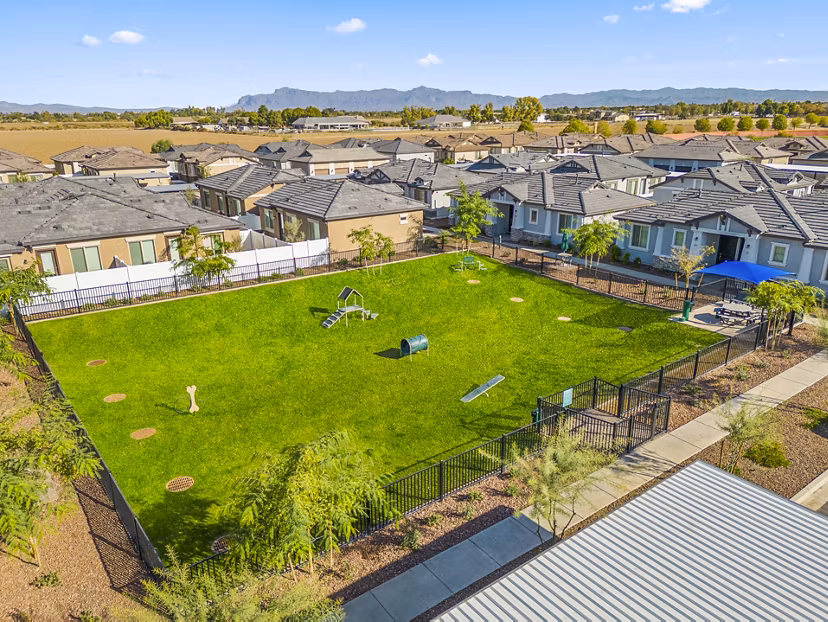 Off-leash dog park with agility equipment at Vlux at Queen Creek Apartments