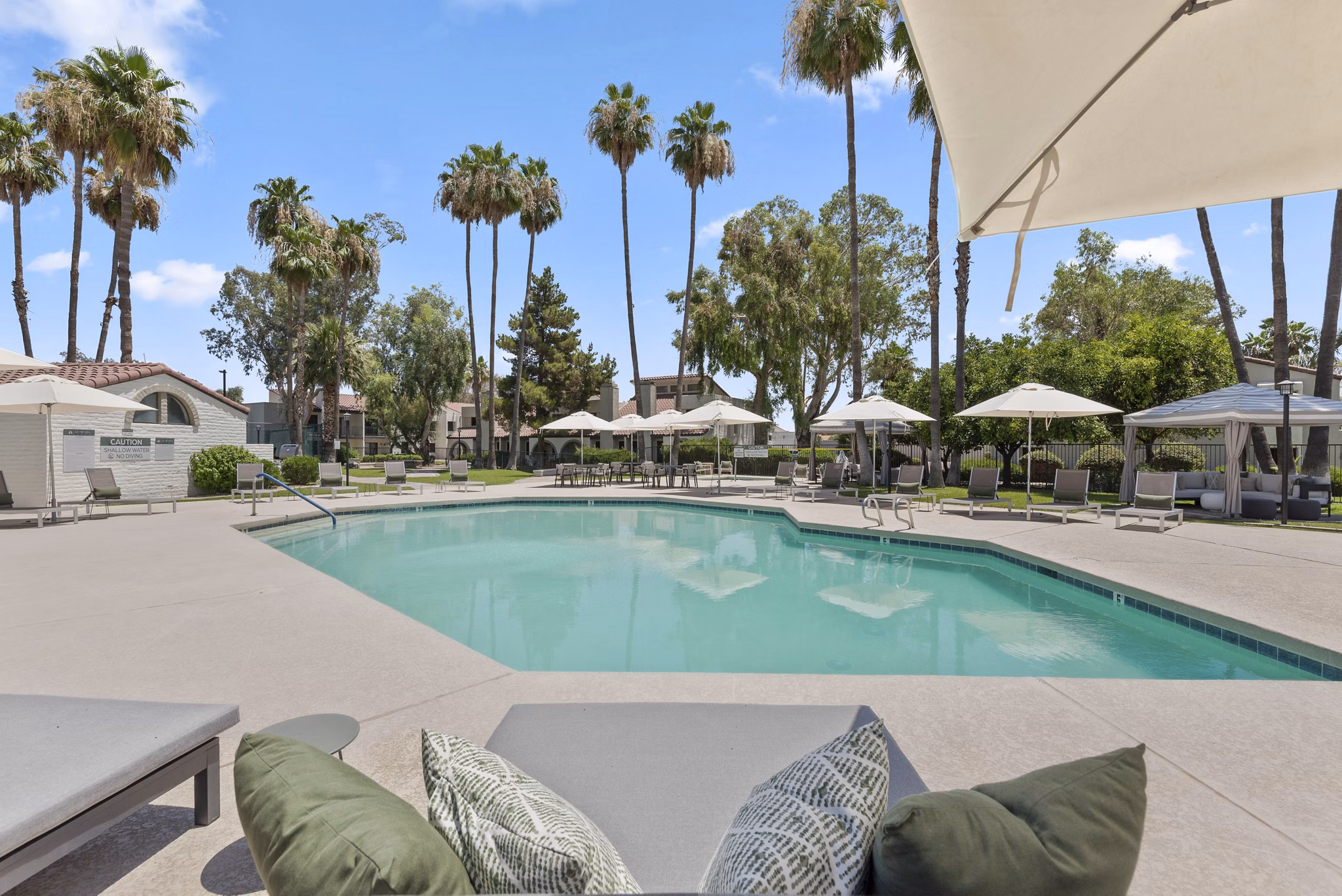 Resort-style pool with lounge chairs at La Privada Apartments, a luxury community by Greystar