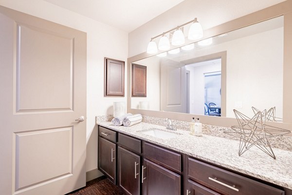 Luxurious bathroom featuring modern fixtures at Larkspur at Twin Creeks Apartments