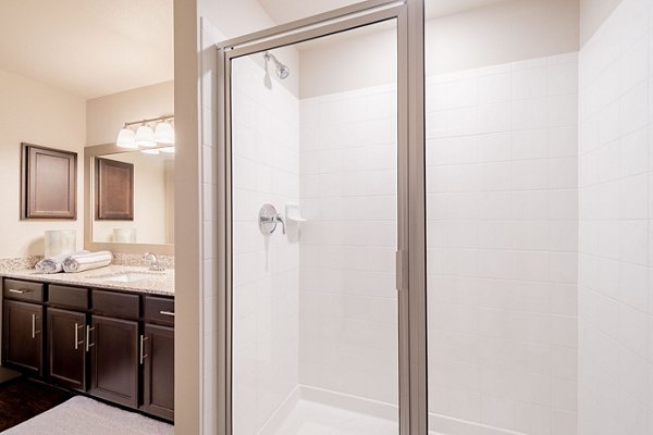 Luxurious bathroom with modern fixtures at Larkspur at Twin Creeks Apartments