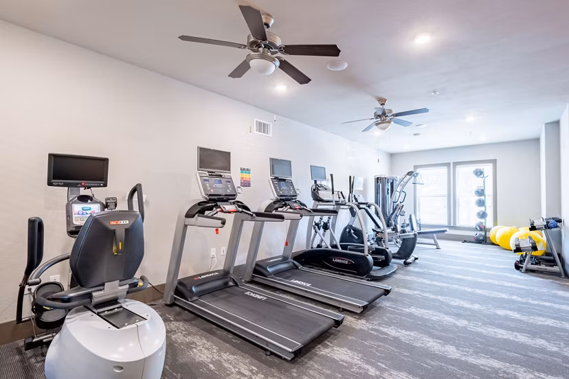 State-of-the-art fitness center at Larkspur at Twin Creeks Apartments offering modern exercise equipment and spacious workout areas