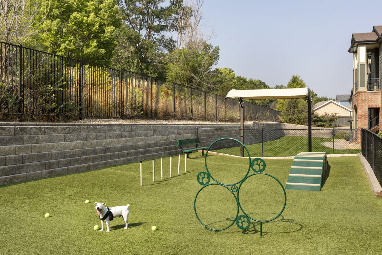 Dog park at Mile 44