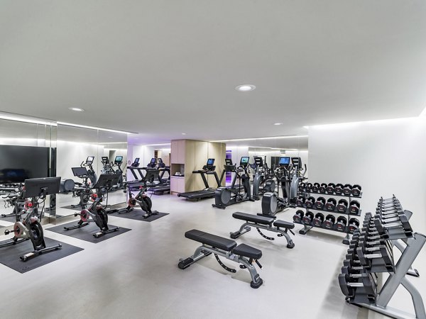 State-of-the-art fitness center with modern equipment at Rigby Apartments