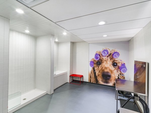 Convenient dog wash station at Rigby Apartments, a Greystar luxury community