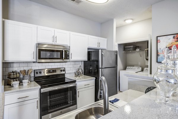 Kitchen at Avant at Steele Creek