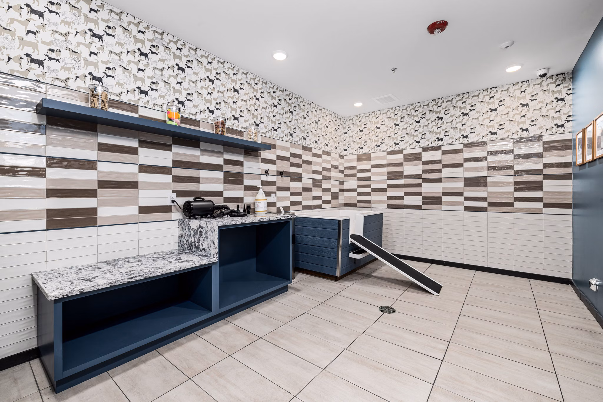 Encore at Heritage: Convenient dog wash station at luxury apartments for pet owners