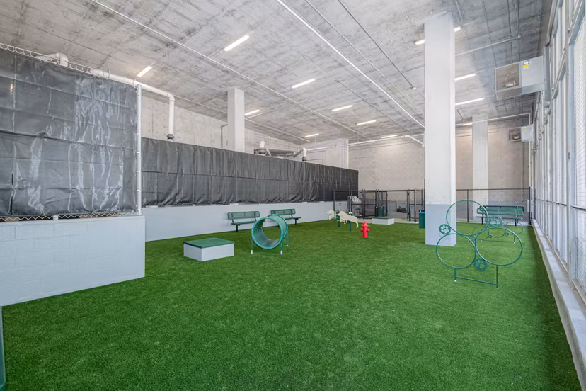 Dog park with modern amenities at Canal 1535 Apartments, perfect for pet owners in a vibrant community setting