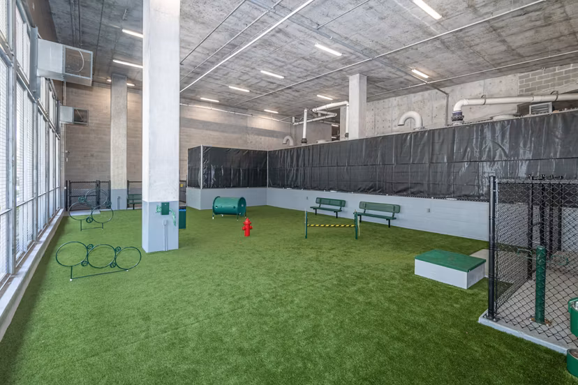 Spacious dog park with agility equipment at Canal 1535 Apartments, ideal for pet owners seeking luxury living