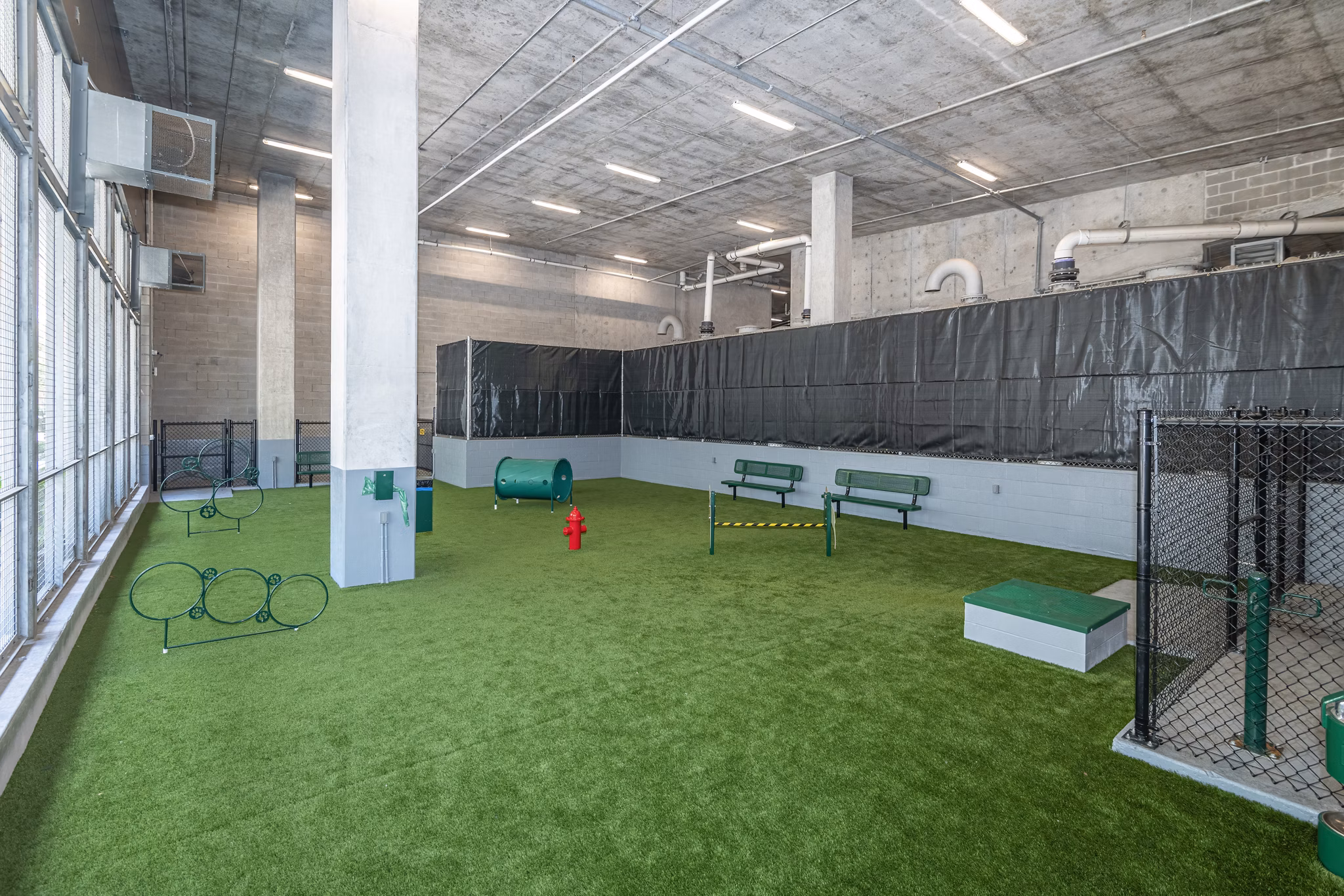 Spacious dog park with agility equipment at Canal 1535 Apartments, ideal for pet owners seeking luxury living