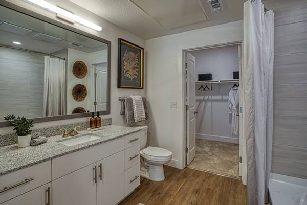 bathroom at Alexan Westerly Creek Apartments