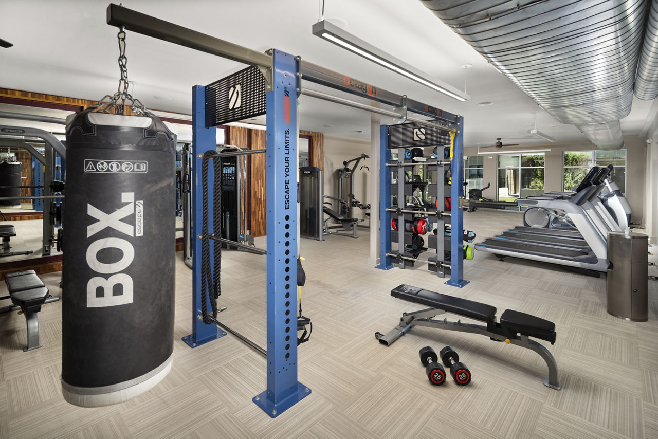 Gym at River House Apartments (1 of 3)