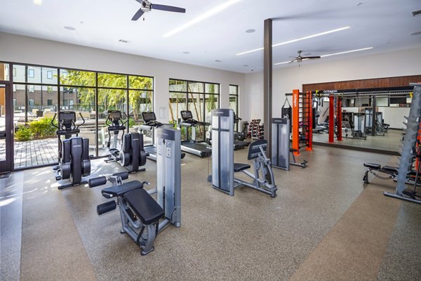 State-of-the-art fitness center with modern equipment at Terra House Apartments, ideal for active lifestyle residents