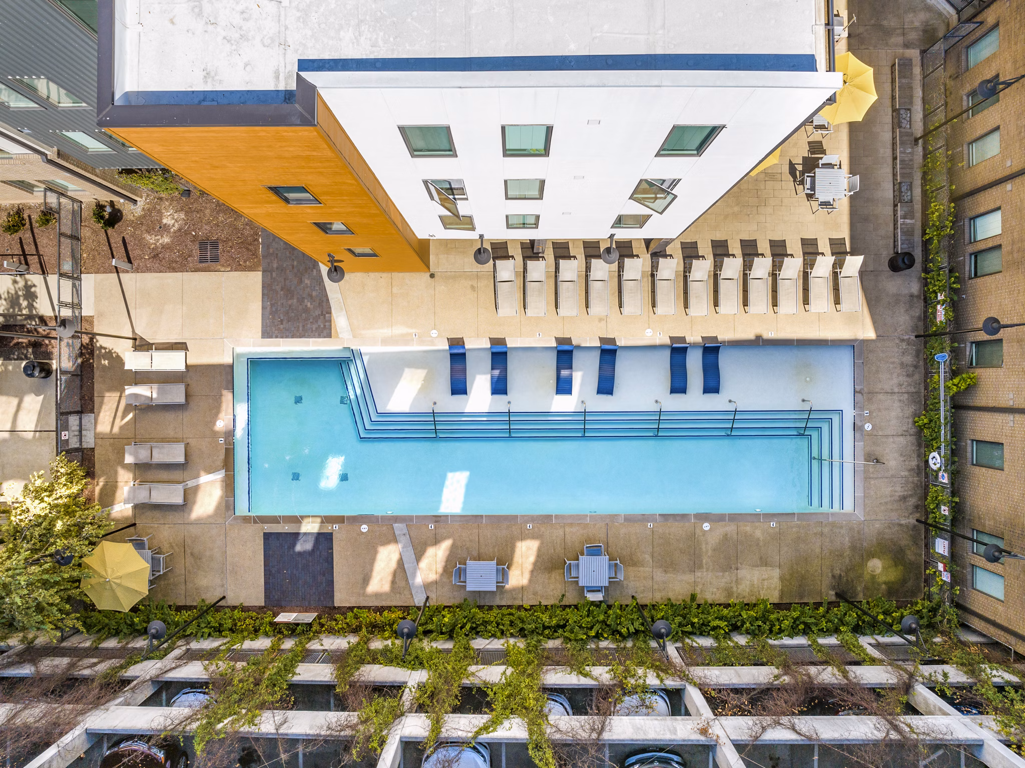 Aerial view of a vibrant swimming pool area with lounge chairs at luxury apartments