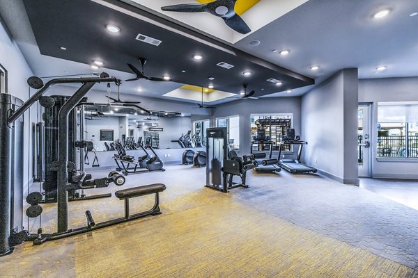 Fitness center with modern equipment at Larkspur at Creekside Apartments