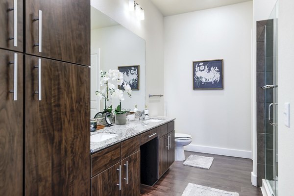 bathroom at Ivy Point Klein Apartments