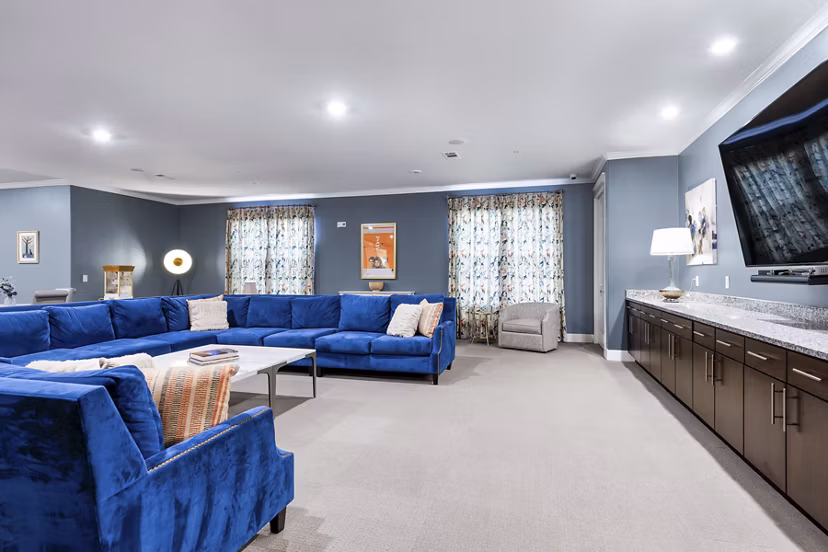 clubhouse theater at Ivy Point Klein Apartments