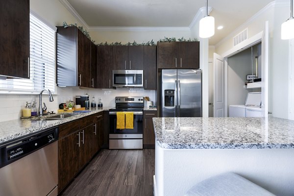 kitchen at Ivy Point Klein Apartment
