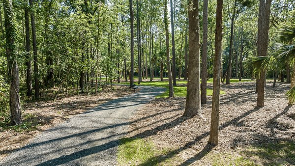 Courtyard with lush landscaping at Grand Cypress Apartments, perfect for relaxation and community gatherings