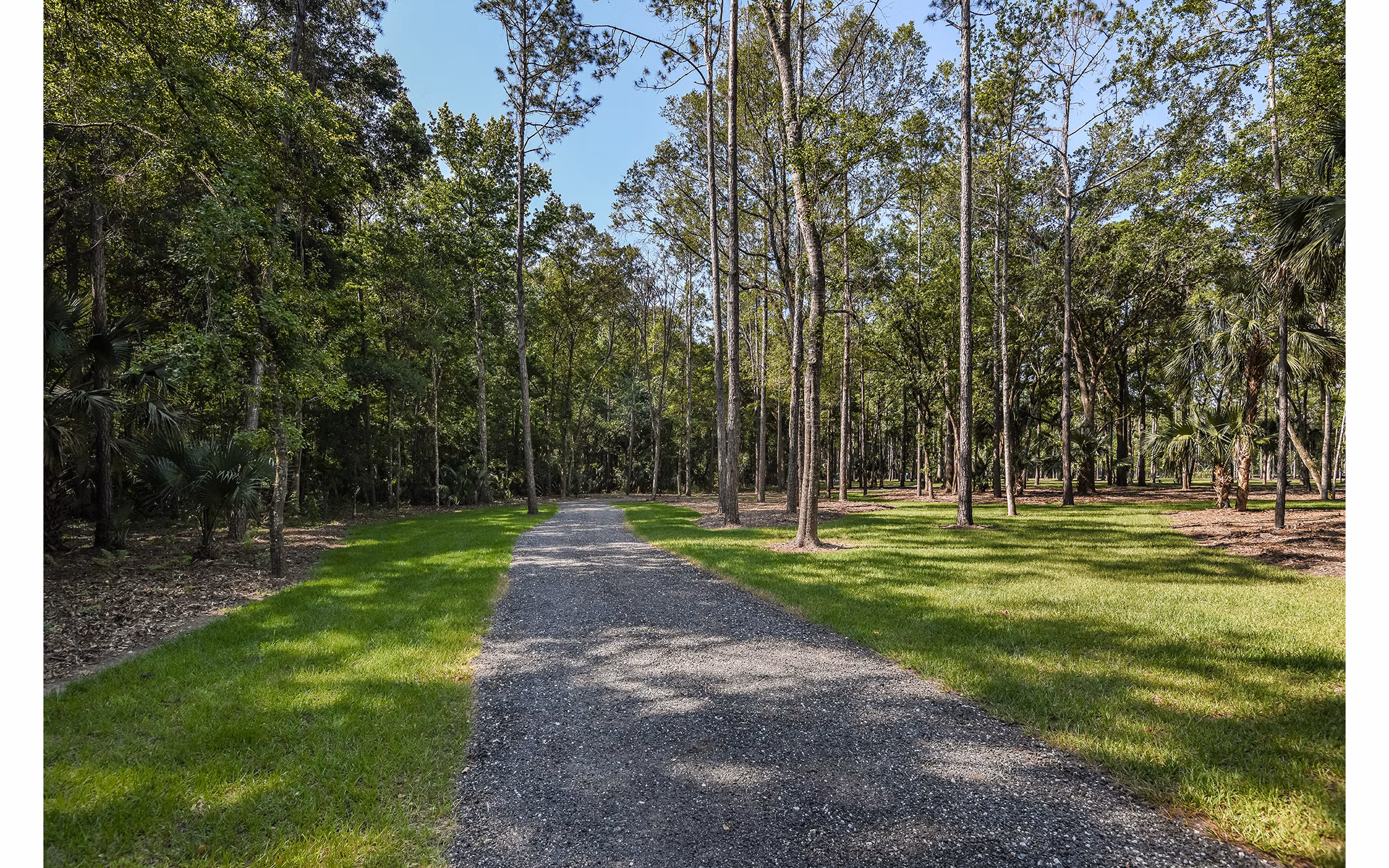 Grand Cypress Apartments: Tranquil courtyard with lush greenery and seating areas