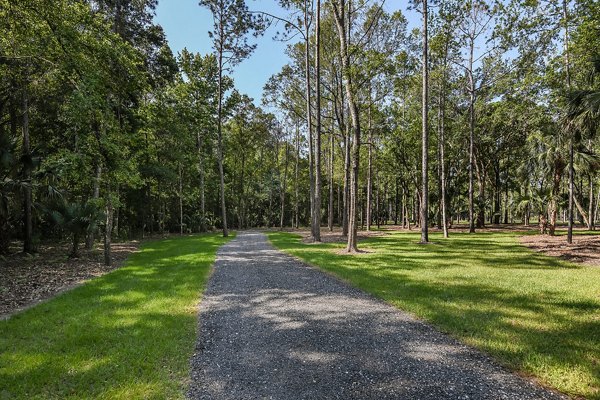 Grand Cypress Apartments: Tranquil courtyard with lush greenery and seating areas