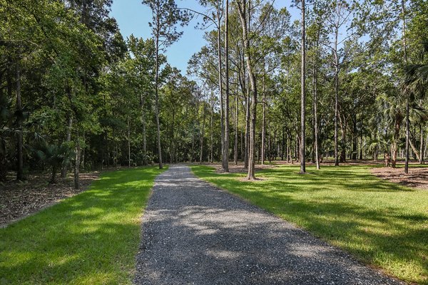 courtyard at Grand Cypress Apartments