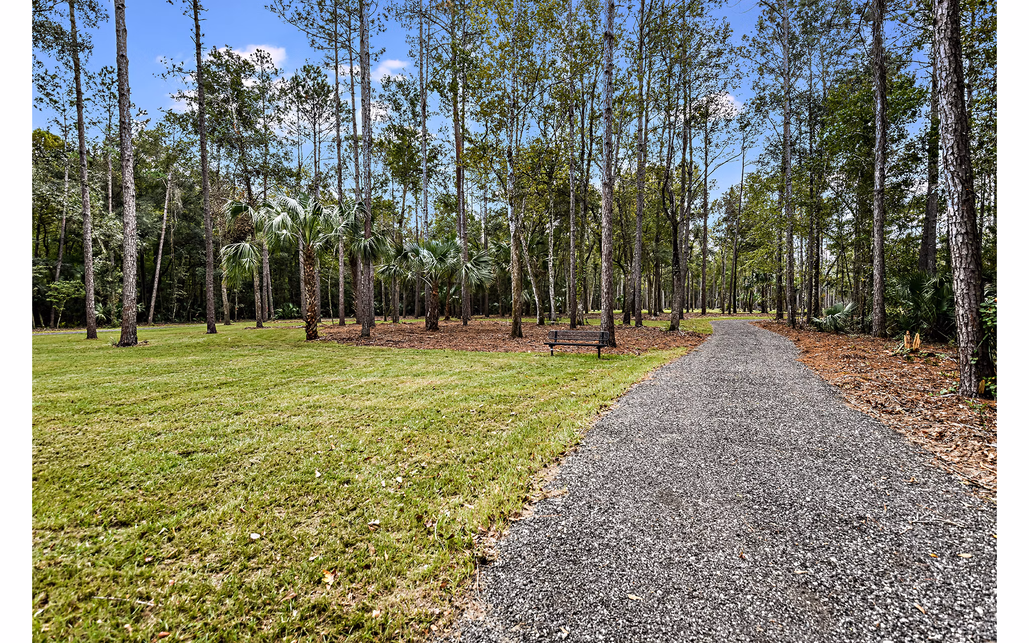 Grand Cypress Apartments: Lush green courtyard with seating areas in luxury complex