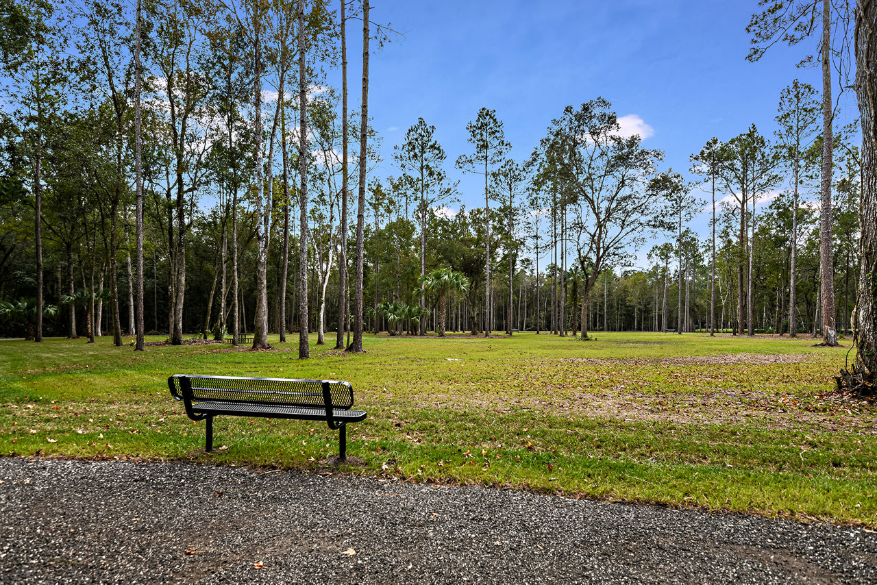 Grand Cypress St Johns Fl 10 of 12